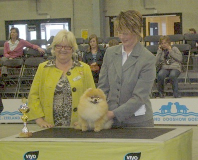 Elfe vom Bruchend - Ehrenring - NL Goes 2