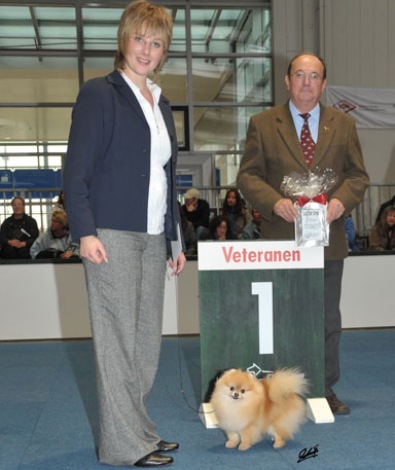 Zwergspitze vom Bruchend auf Ausstellung 06